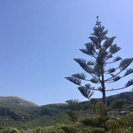 Alegria Kefalonia Katelios