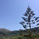 Alegria Kefalonia Kateleios
