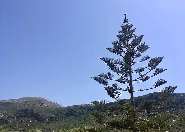 Alegria Kefalonia Katelios